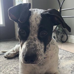 Meet your Posher, Serina